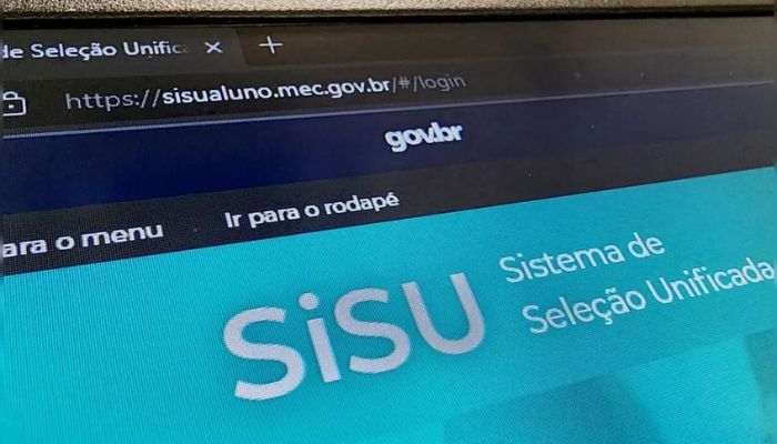 sisu