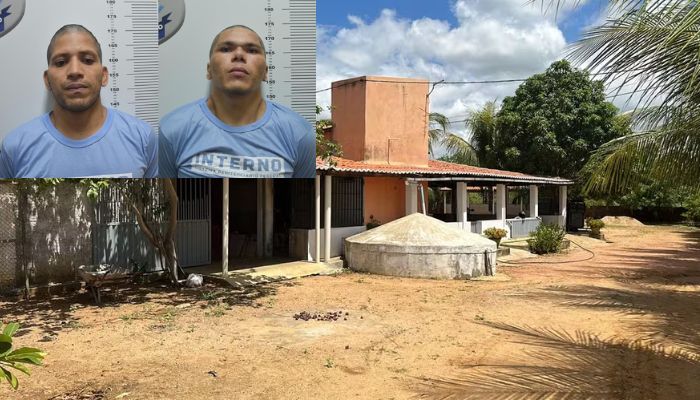 Leide Feitosa (10)