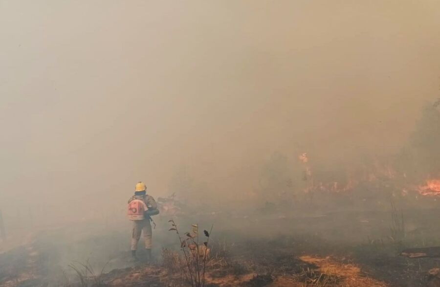 CBMAM-INCENDIO-EM-PASTO-APUI-02
