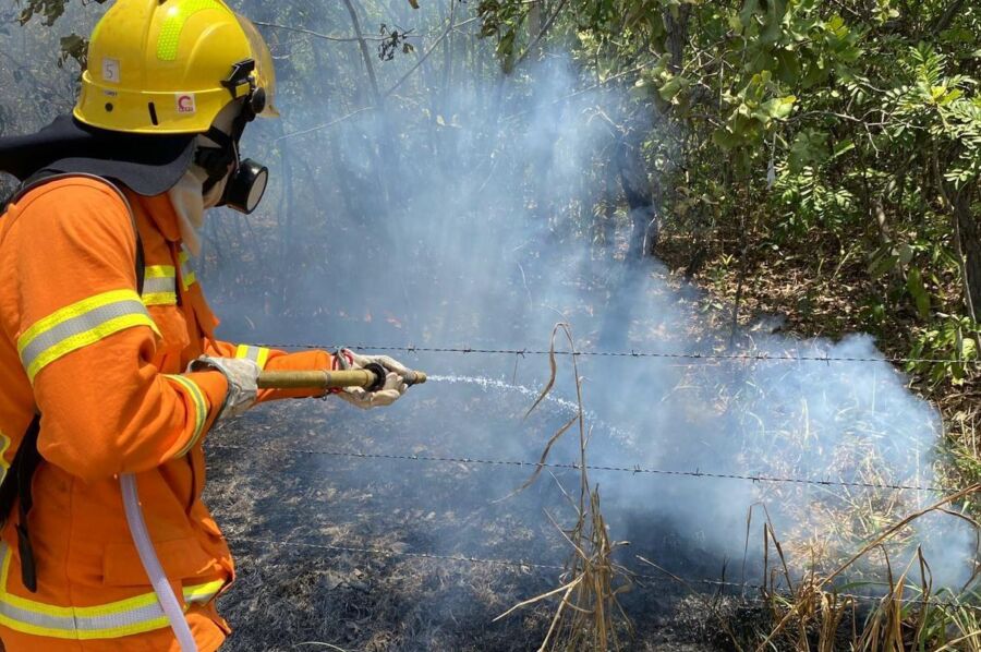 CBMAM_20-MIL-FOCOS-DE-INCENDIO-COMBATIDOS_1
