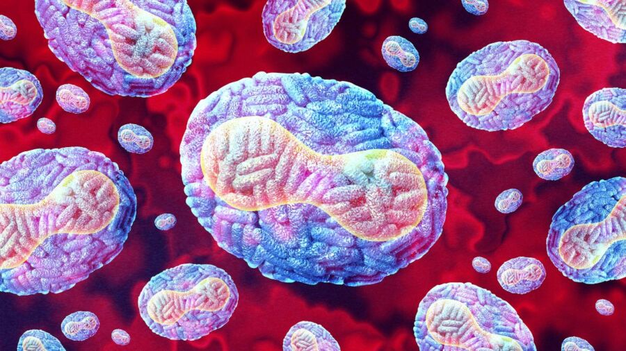 ilustracao-3d-do-virus-mpox-com-dna-de-fita-dupla