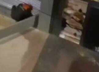 Quarteto é preso após tentar roubar Loja da Boticário no Centro de Manaus