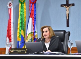 Presidente do TCE-AM é reconhecida personalidade do ano 2024