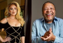 Juiz manda derrubar música de Adele por plagiar música cantada por Martinho da Vila; entenda