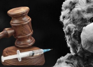 Castração química de pedófilos: Confira como cada deputado votou
