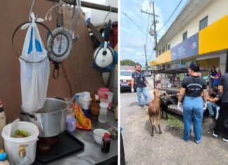 Adaf apreende 400 quilos de carne oriunda de abate ilegal vendida em açougue clandestino