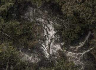 AGU solicita R$ 725 milhões por danos ambientais no Pantanal