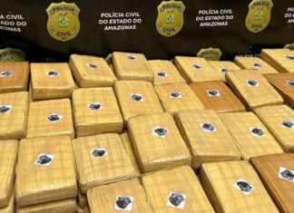 Polícia Civil apreende meia tonelada de drogas em Barcelos no Amazonas