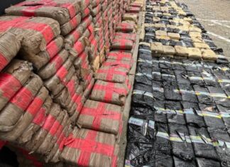 Polícia Civil do Amazonas apreende mais de uma tonelada de maconha avaliada em R$ 20 milhões