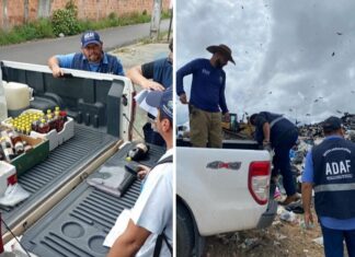 Adaf apreende 135 quilos de mel de estabelecimento clandestino