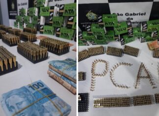 PC-AM prende homem e apreende mais de 800 munições e R$ 23 mil em São Gabriel da Cachoeira