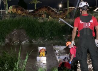 Cadáver é encontrado boiando em igarapé no Novo Aleixo em Manaus