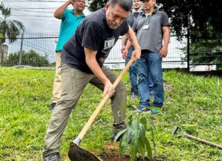 ‘ReflorESTe’: Novo programa de arborização reforça compromisso ambiental da EST/UEA