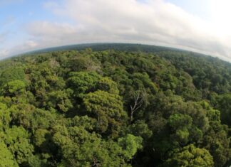 Sema mobiliza sociedade para propor soluções climáticas na 5ª Conferência Estadual do Meio Ambiente
