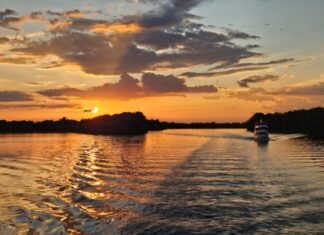 Amazonas realiza 5ª Conferência Estadual do Meio Ambiente a partir desta quarta-feira