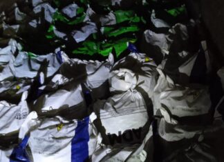 Mosca-da-carambola: Adaf apreende mais de uma tonelada de pimenta-de-cheiro em barreira de vigilância