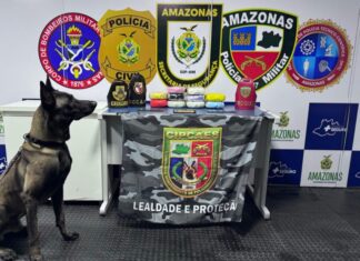 Base Arpão 3: Cão policial encontra 14 quilos de drogas escondidos em malas