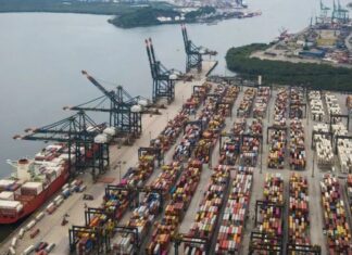 Brasil pode ganhar mercados com tarifaço de Trump, diz economista
