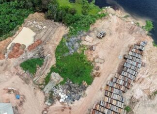 Instituto de Proteção Ambiental multa dono de olaria por crime ambiental no Amazonas