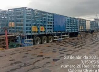 Dupla é presa ao tentar transportar 8 mil botijas de gás e mais de R$ 3 milhões em Manaus