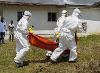 Surto de ‘Febre dos Ratos’ deixa mais de 120 mortos na Nigéria
