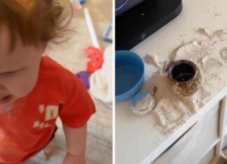 VÍDEO: Mãe flagra filho de um ano comendo os restos mortais do avô