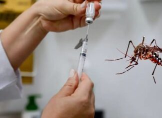 Anvisa aprova primeira vacina para Chikungunya
