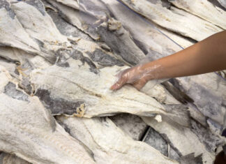Quadrilha rouba caminhão com 25 toneladas de bacalhau avaliado em R$ 1,8 milhão