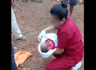 Bebê atacado por cães e abandonado em lote morre após 4 dias internado