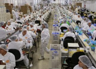 Indústria cresce 1,2% em março, após 5 meses de queda ou estabilidade