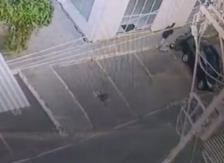 Padrasto é preso após criança de 4 anos ser jogada do 5º andar