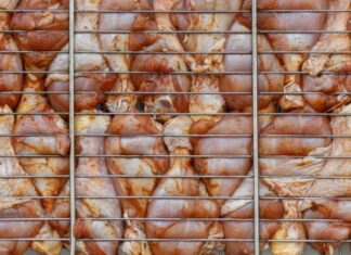 China ordena devolução ou destruição de cargas de frango do Brasil após caso de gripe aviária