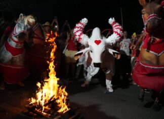 Festival de Parintins 2025: Ladainha do Boi Garantido toma as ruas de Parintins em celebração de fé e tradição