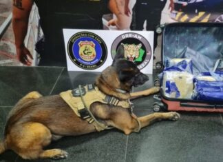 Polícia Federal apreende mulher com mais de nove quilos de drogas no Aeroporto de Manaus