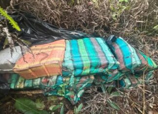 Operação Ágata intercepta 868 kg de skunk às margens do Rio Negro no Amazonas
