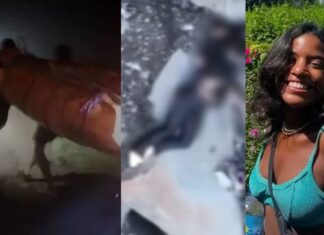 Corpo de Juliana Marins é retirado de vulcão na Indonésia