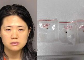 Pesquisadora chinesa é presa pelo FBI por levar fungo letal para os Estados Unidos