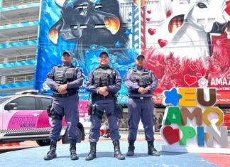 Festival de Parintins 2025: PMAM reforça ações de enfrentamento à violência contra a mulher