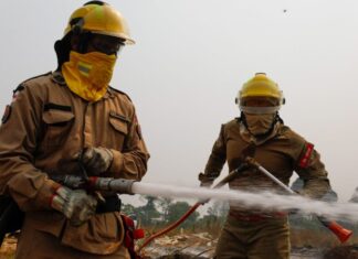Amazonas registra queda de quase 67% nos focos de calor no primeiro semestre de 2025