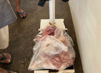 Ipaam apreende carne de capivara comercializada ilegalmente em feira de Itacoatiara