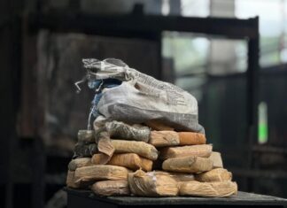 Polícia Civil do Amazonas lidera incineração de drogas no país e reafirma protagonismo nacional no combate ao narcotráfico
