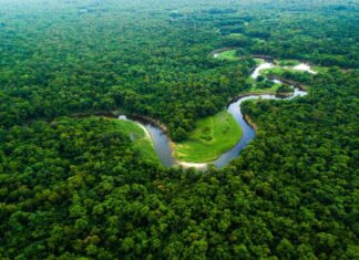 Governo destina R$ 150 milhões a municípios prioritários e R$ 60 milhões para projetos sustentáveis na Amazônia