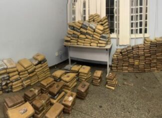 Fiscalização do Detran-AM auxilia PC-AM na apreensão 580 tabletes de entorpecentes durante ação na zona centro-oeste