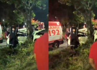 Motorista morre após colisão violenta contra árvore na Avenida Curaçao em Manaus