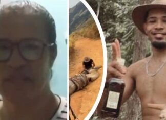 VÍDEO: Após repercussão do caso do cavalo que teve as patas arracadas, mãe do acusado pede perdão