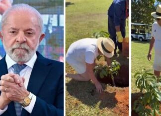 Após plantar muda de baobá no Alvorada, Lula dispara: ‘para futuros presidentes terem ‘juízo’