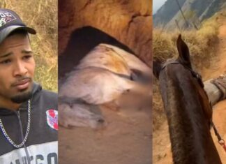 VÍDEO: Após ser forçado a cavalgar por 15 km, homem arranca as patas do animal com facão
