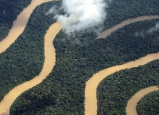 Amazonas tem queda de 93,4% nos registros de focos de calor em julho de 2025
