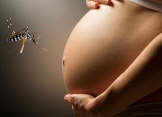 Infecções por Aedes aegypti aumentam risco de complicações no parto