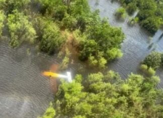 FAB intercepta avião vindo do Peru no Amazonas; piloto é preso